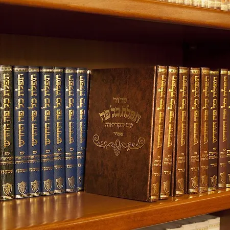 Отель Kosher King David 5*