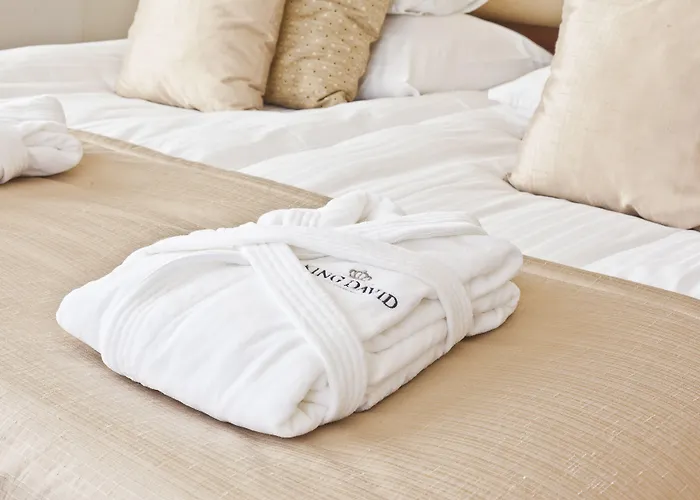 Kosher King David Hotel Praha