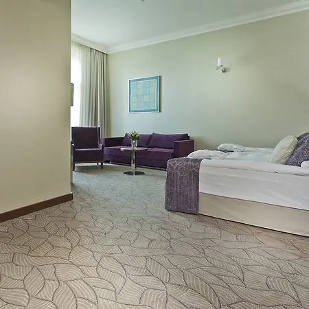 Hotel Kosher King David Praga